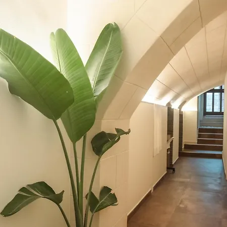 Little House לינה וארוחת בוקר